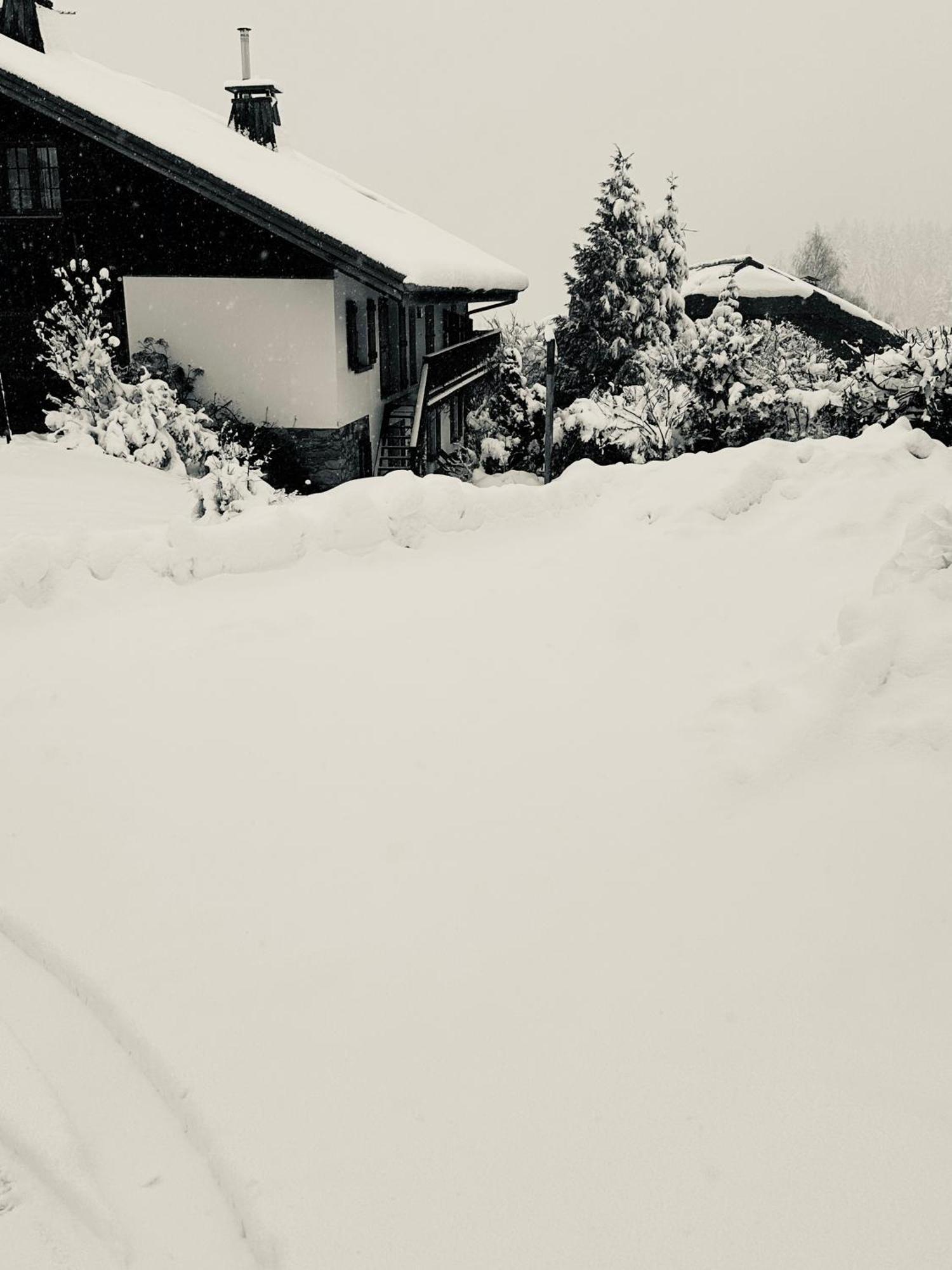 Chalet A Megeve-Vauvray - Grands Appartements , Vue Mont Blanc Demi-Quartier Exterior photo